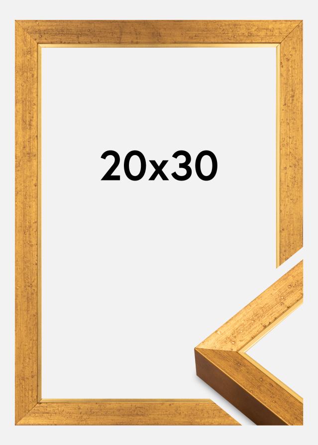 Rāmis Brema Akrylglas Zelts 20x30 cm