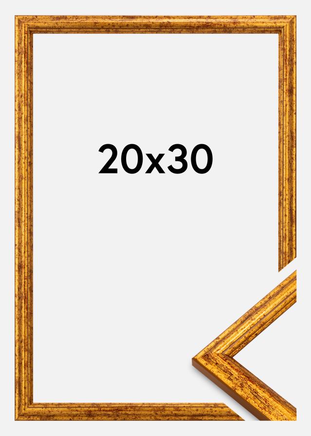 Rāmis Claudia Akrila Stikls Zelts 20x30 cm