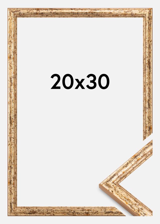 Rāmis Claudia Ak­rila stikls Sudrabs 20x30 cm