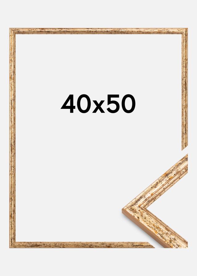 Rāmis Claudia Akrylglas Sudrabs 40x50 cm