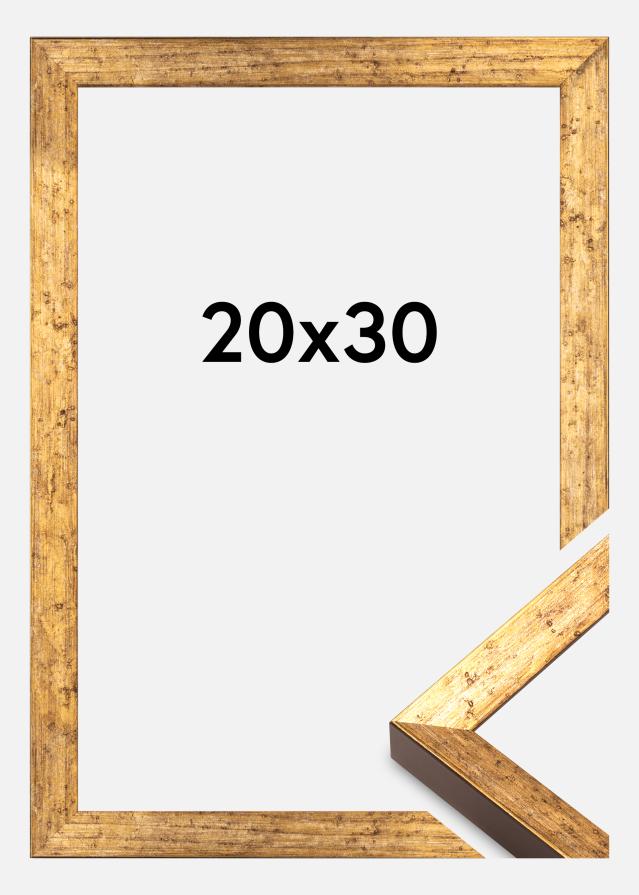 Rāmis Dune Akrīlstikls Zelta 20x30 cm