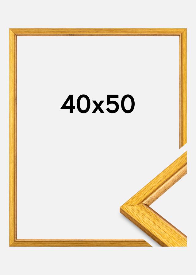 Rāmis Marisa Akrylstikls Zelts 40x50 cm