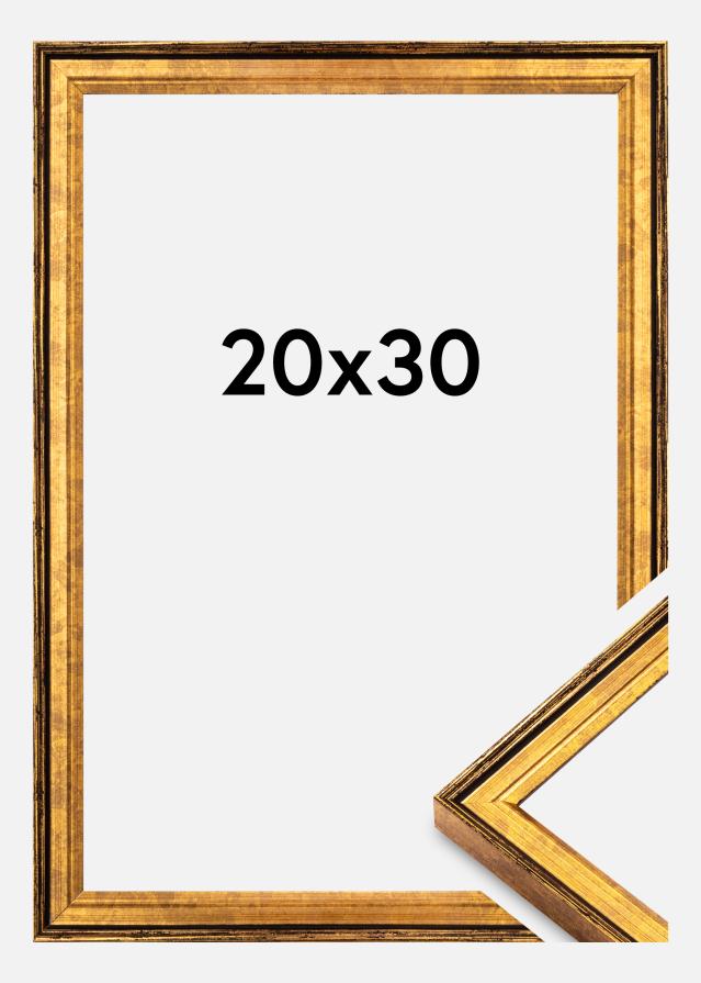 Rāmis Ringa Akrilstikls Zelts 20x30 cm