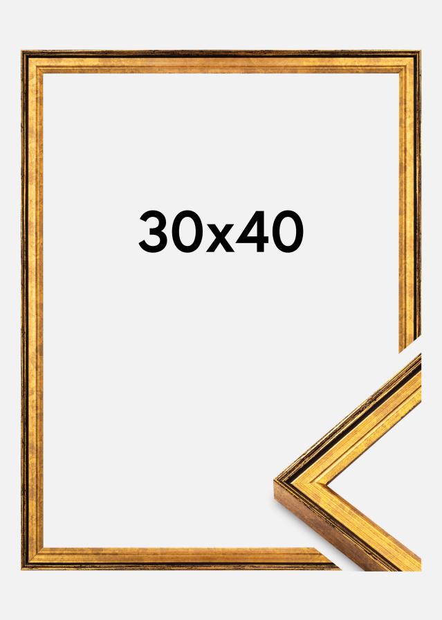 Rāmis Ringa Akrila stikls Zelts 30x40 cm