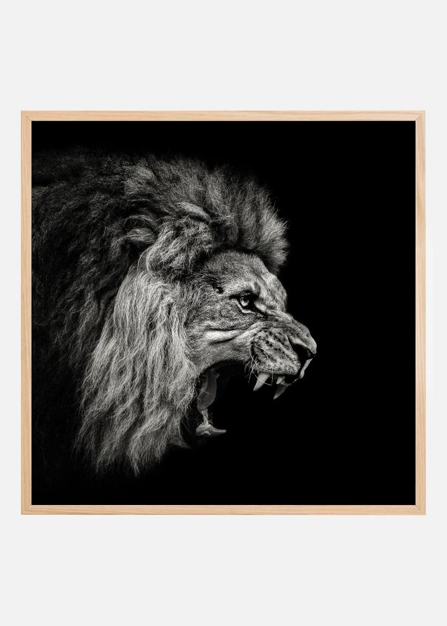 Roaring Lion #2 Plakāts