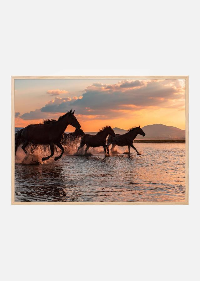 WATER HORSES Plakāts