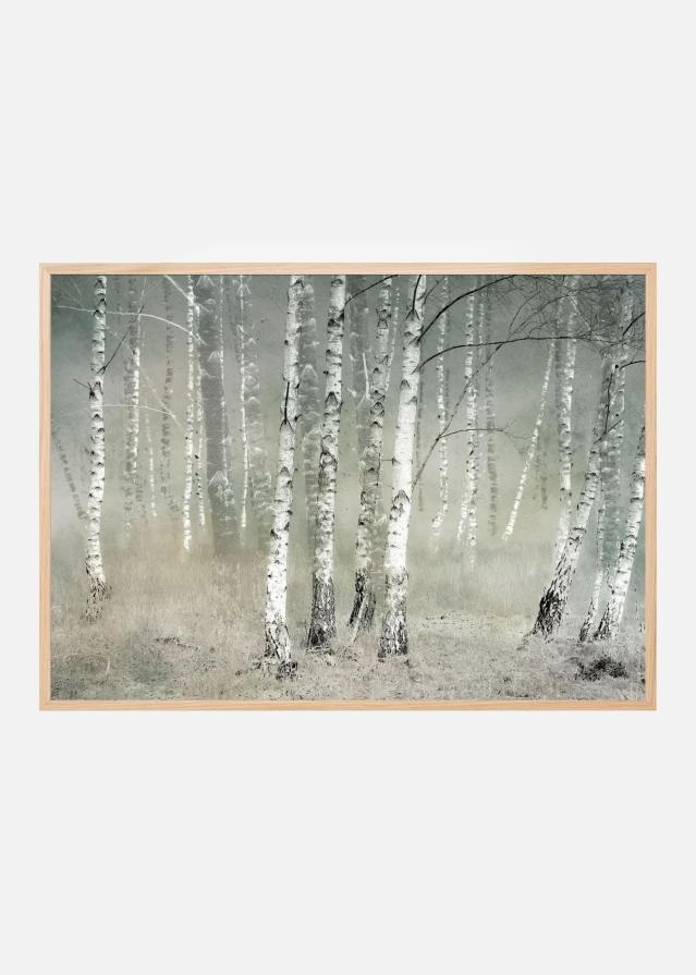 Morning silence Plakāts