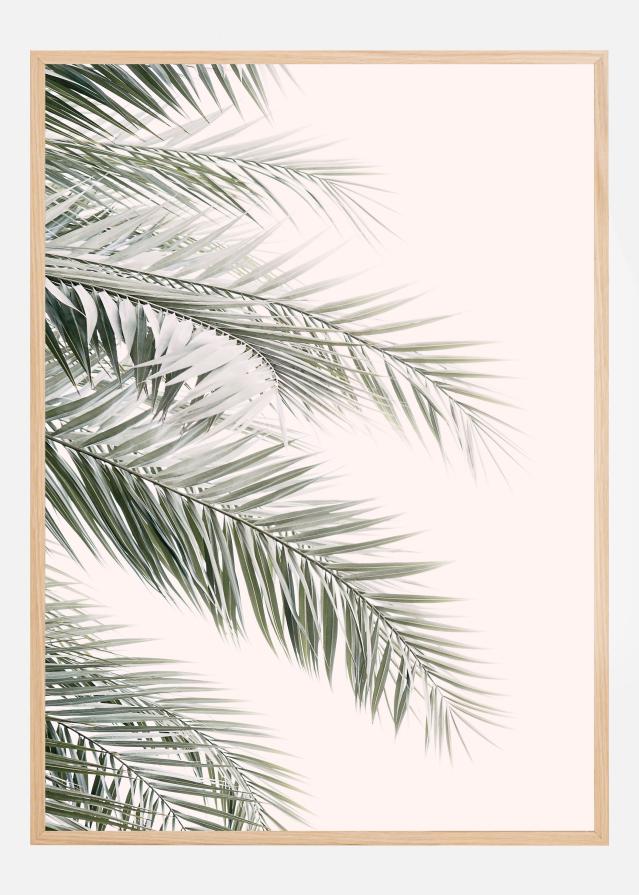 Blush Palm Leaves Plakāts