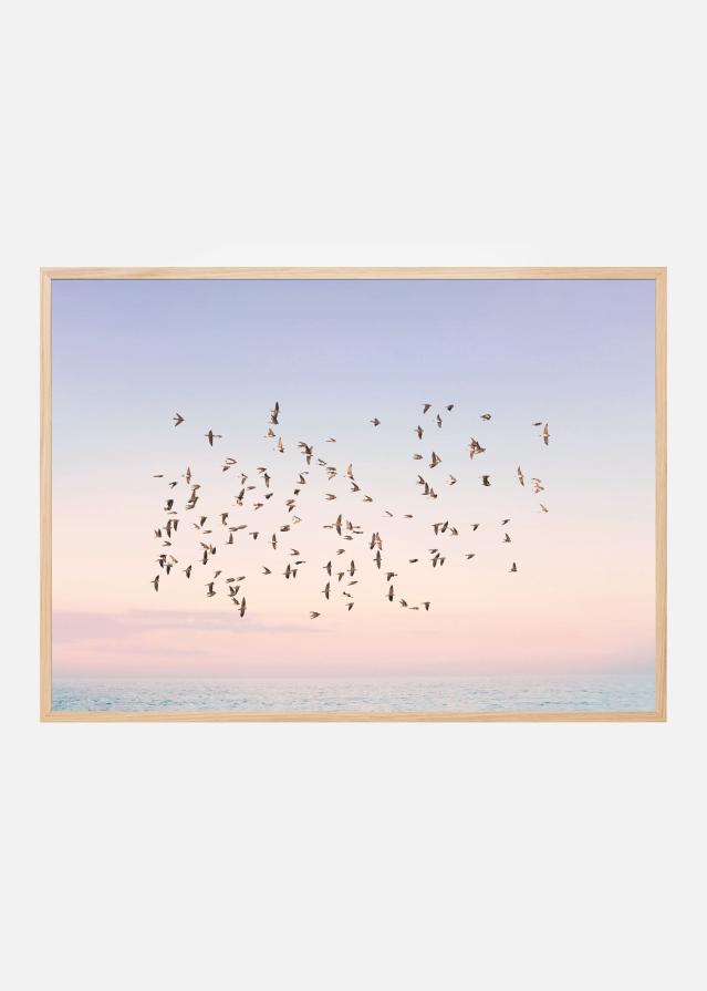 Sunset Flight Plakāts