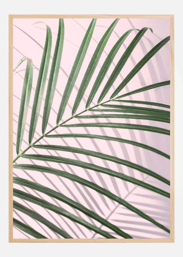 Palm Leaf Shadow Plakāts