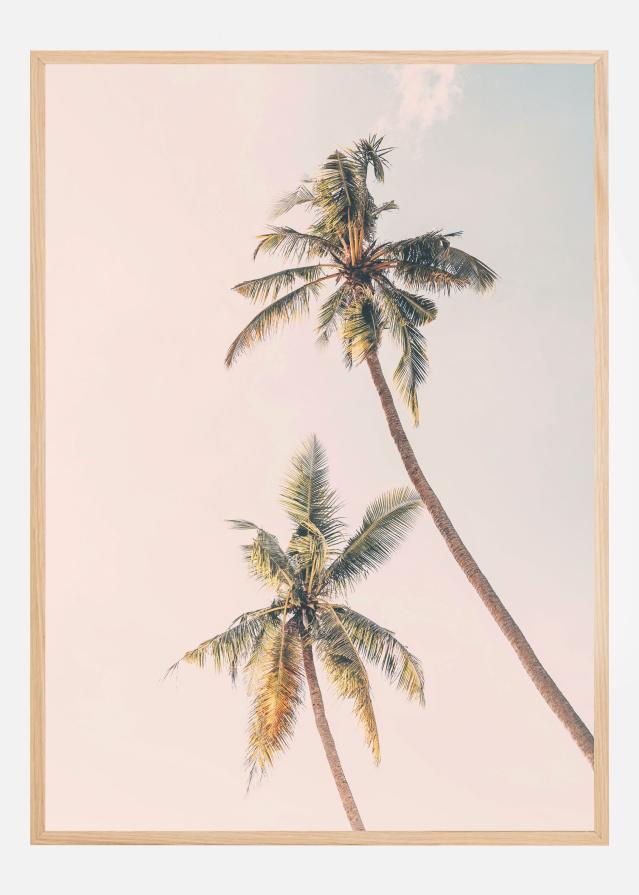 Tropical Palms Plakāts