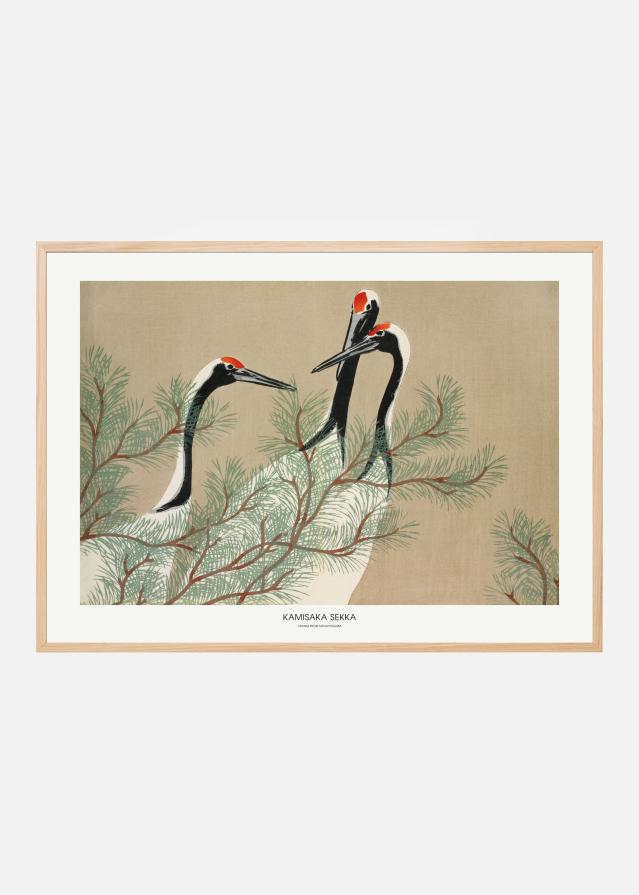 Cranes From Momoyogusa Plakāts