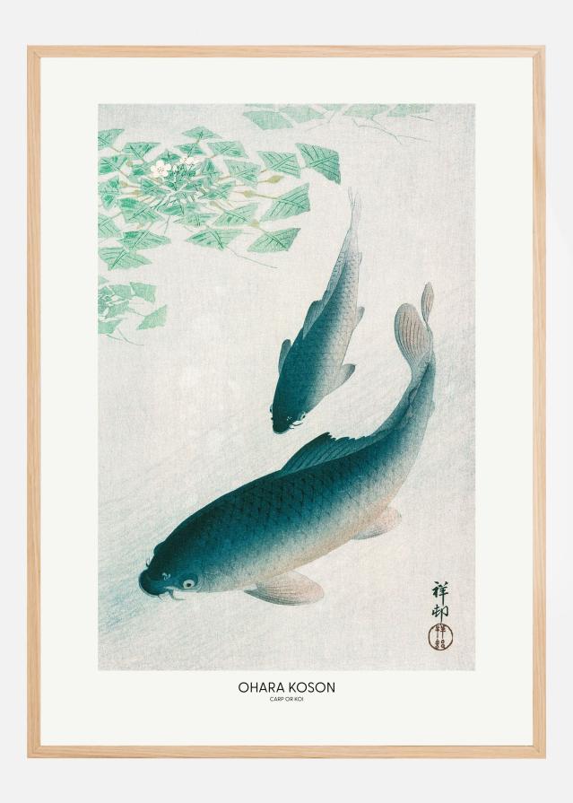 Carp Or Koi Plakāts