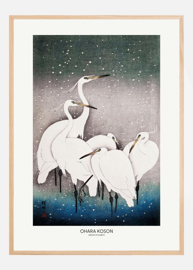 Group Of Egrets Plakāts