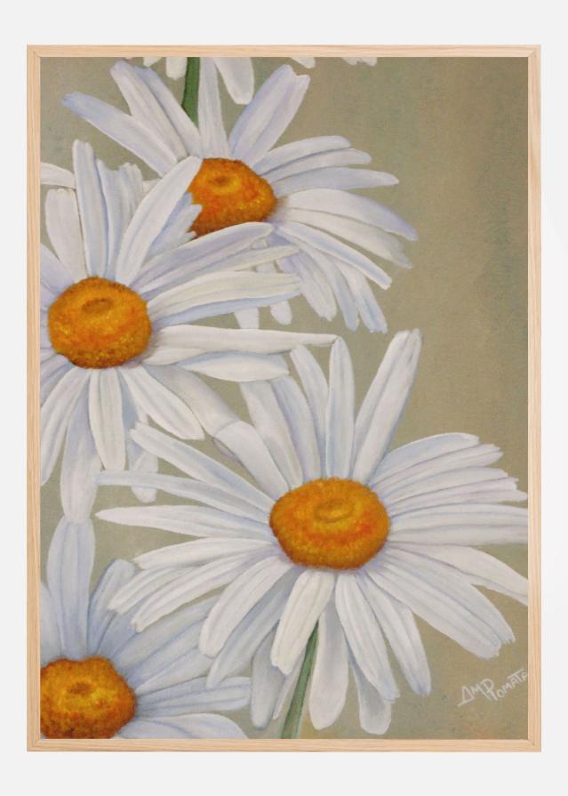 White Daisies Plakāts