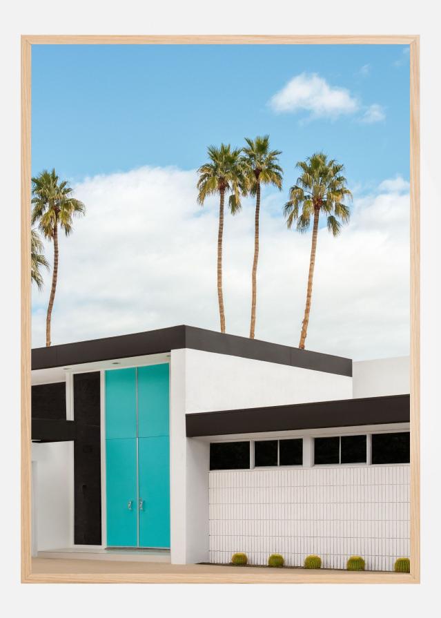 Turquoise Blue Doors on a Modern Home Plakāts