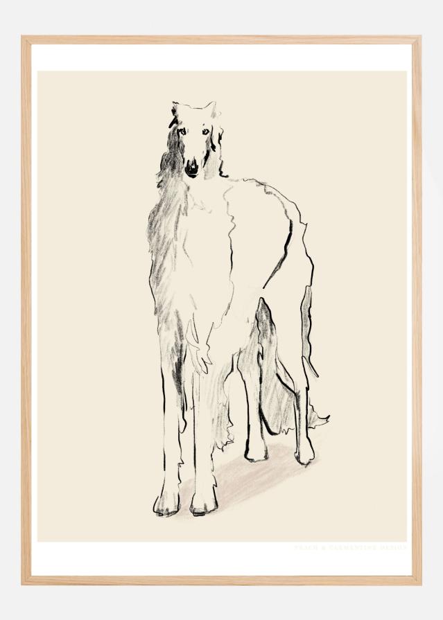 Borzoi Russian Wolfhound Pandc Plakāts
