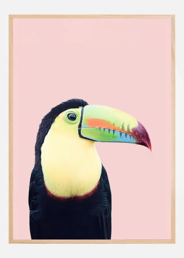 Toucan on Pink Plakāts