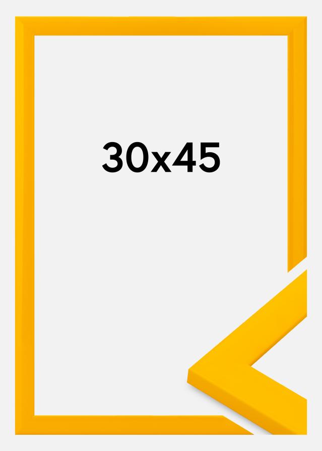 Rāmis Dorset Akrila stikls Zelts 30x45 cm