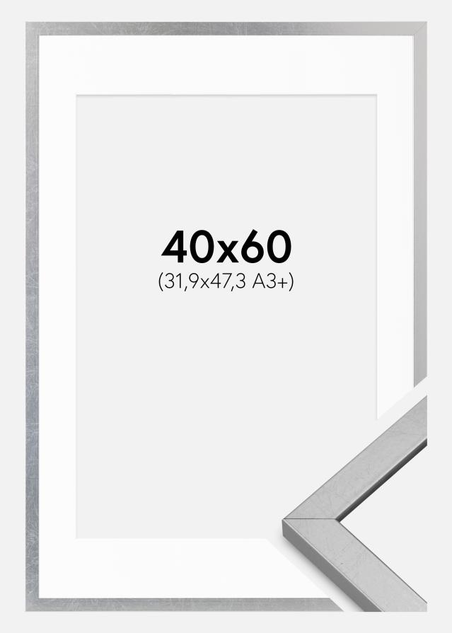 Rāmis Minerva Sudrabs 40x60 cm - Paspartu Balts 32,9x48,3 cm