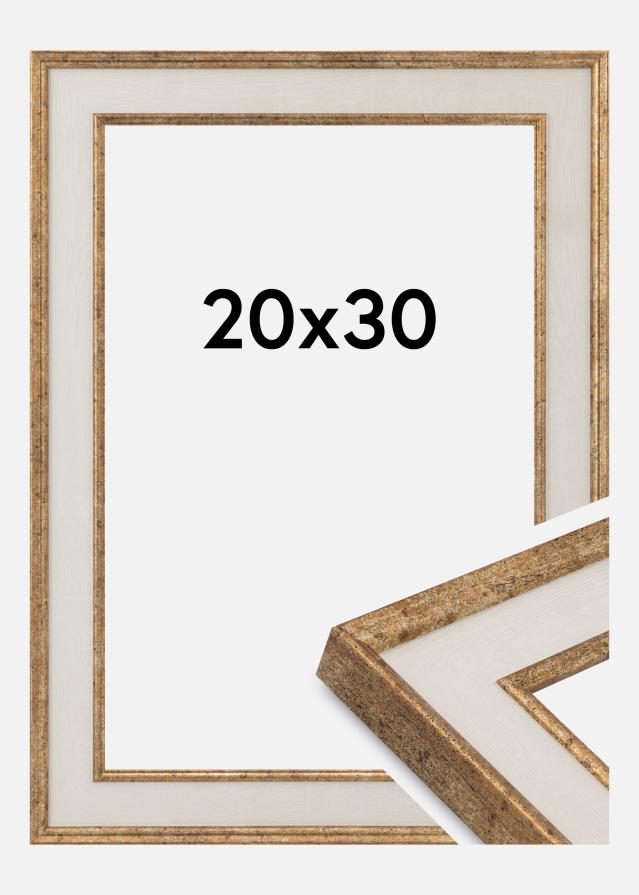 Rāmis Dolly Akrila stikls Zelts 20x30 cm