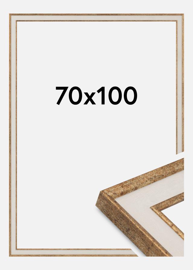 Rāmis Dolly Akrila stikls Zelts 70x100 cm