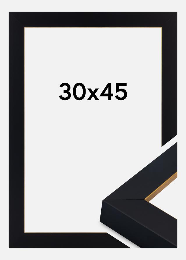 Rāmis Sussex Akrila stikls Melns/Zelts 30x45 cm