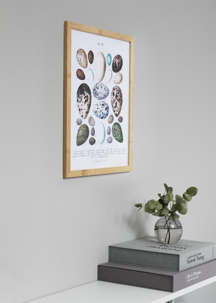 Rāmis Hoei Bamboo 50x70 cm - Paspartu Balts 40x60 cm