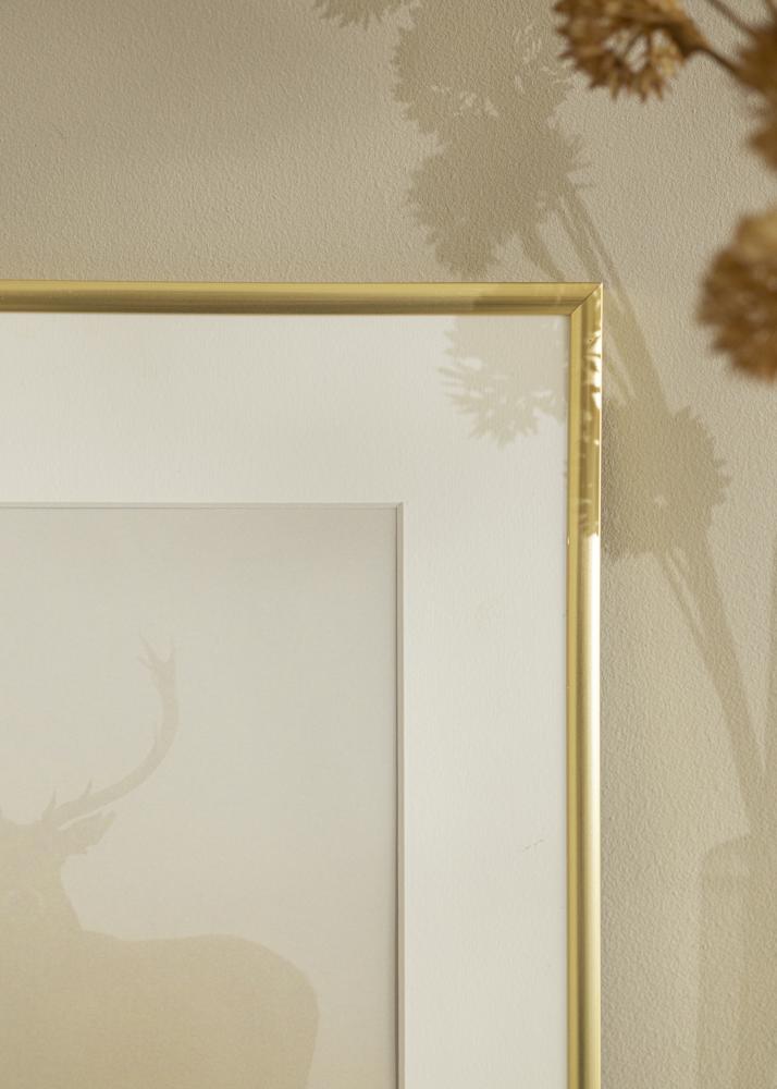 Rāmis New Lifestyle Zelts 20x20 cm - Paspartu Balts 15x15 cm