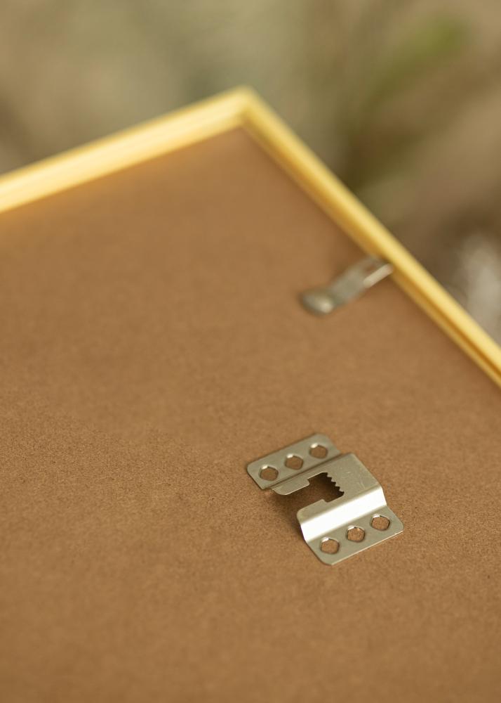 Rāmis New Lifestyle Zelts 60x90 cm - Paspartu balts 50x75 cm