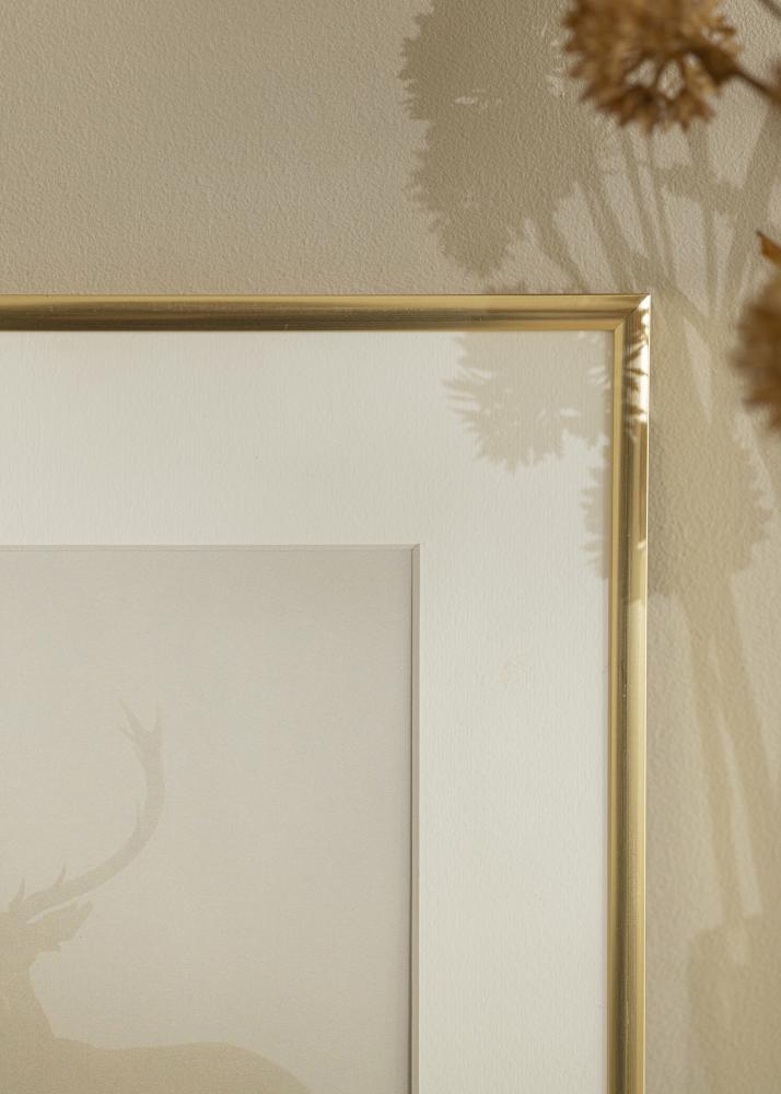 Rāmis New Lifestyle Zelts 60x90 cm - Paspartu balts 50x75 cm