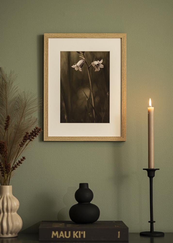 Rāmis Selection Akrila stikls Ozols 67x100 cm