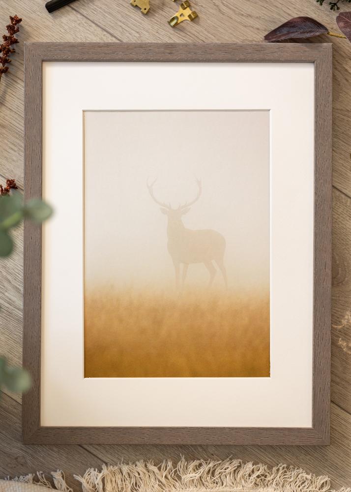 Rāmis Hermes pelēks 60x80 cm - Paspartu Balts 49,3x69,3 cm