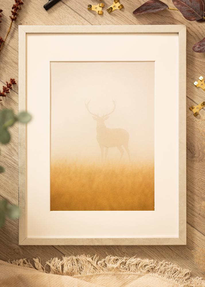 Rāmis Ares Sudrabs 50x50 cm - Paspartu Balts 39x39 cm