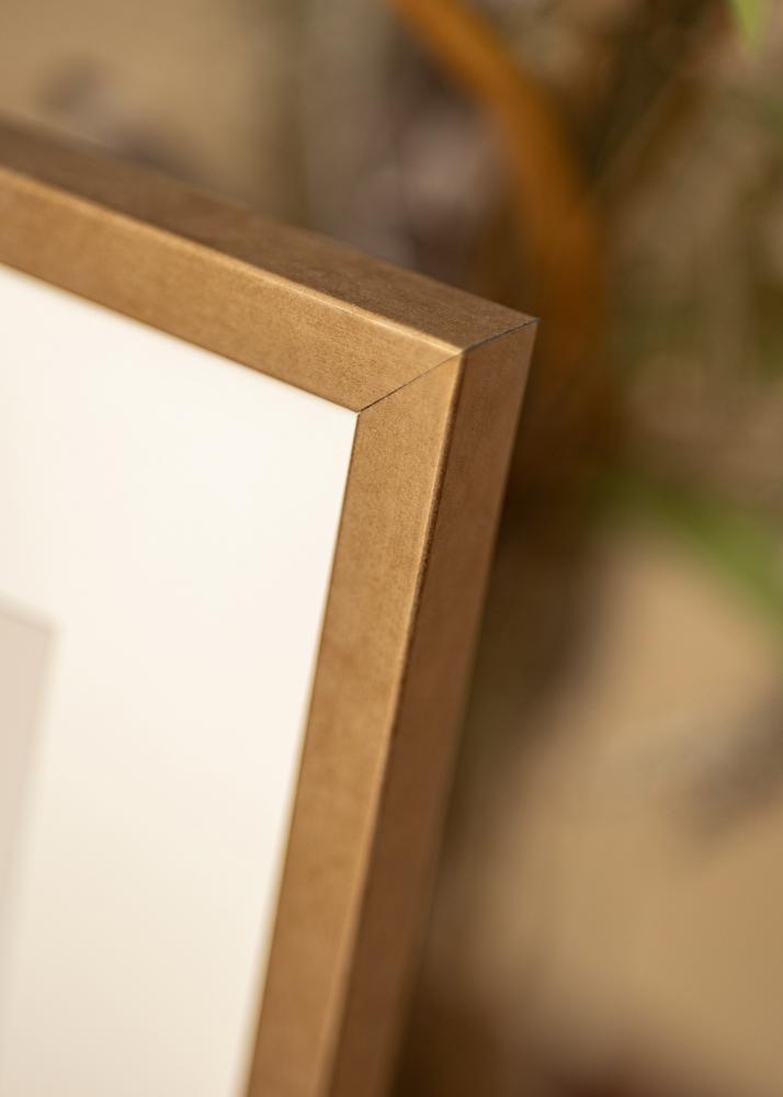 Rāmis Ares Misiņš 50x60 cm - paspartu Balts 40x50 cm