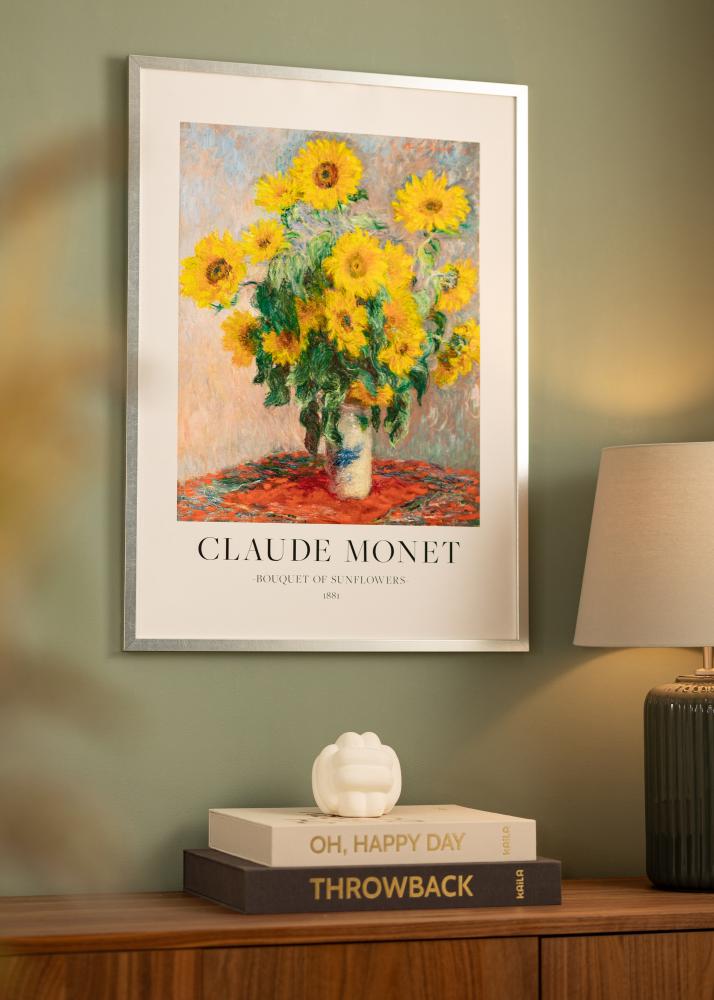 Rāmis Minerva Sudrabs 50x60 cm - Paspartu Balts 16x19 Inches