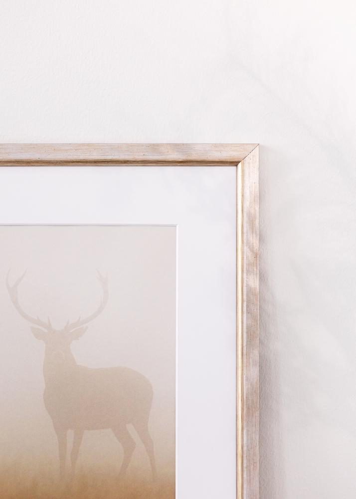 Rāmis Marisa Akrila stikls Sudrabs 42x59,4 cm (A2)