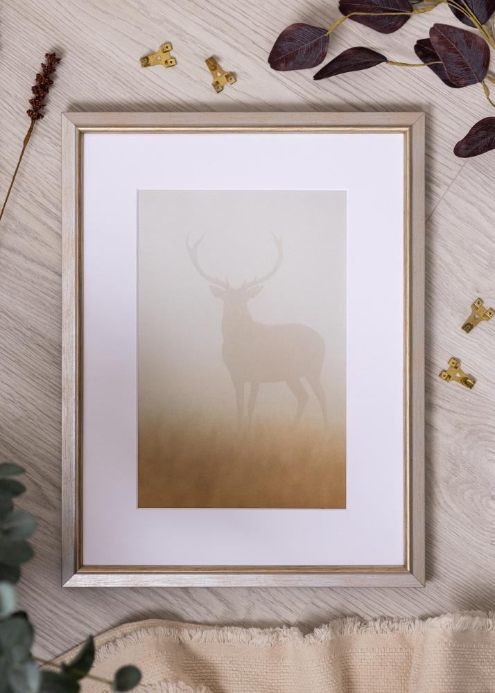 Rāmis Marisa Akrila stikls Sudrabs 42x59,4 cm (A2)