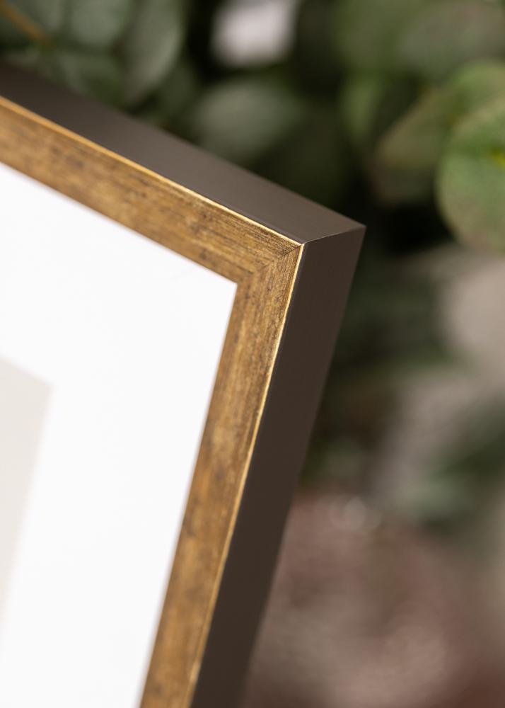 Rāmis Dune Akrila stikls Zelts 40x50 cm