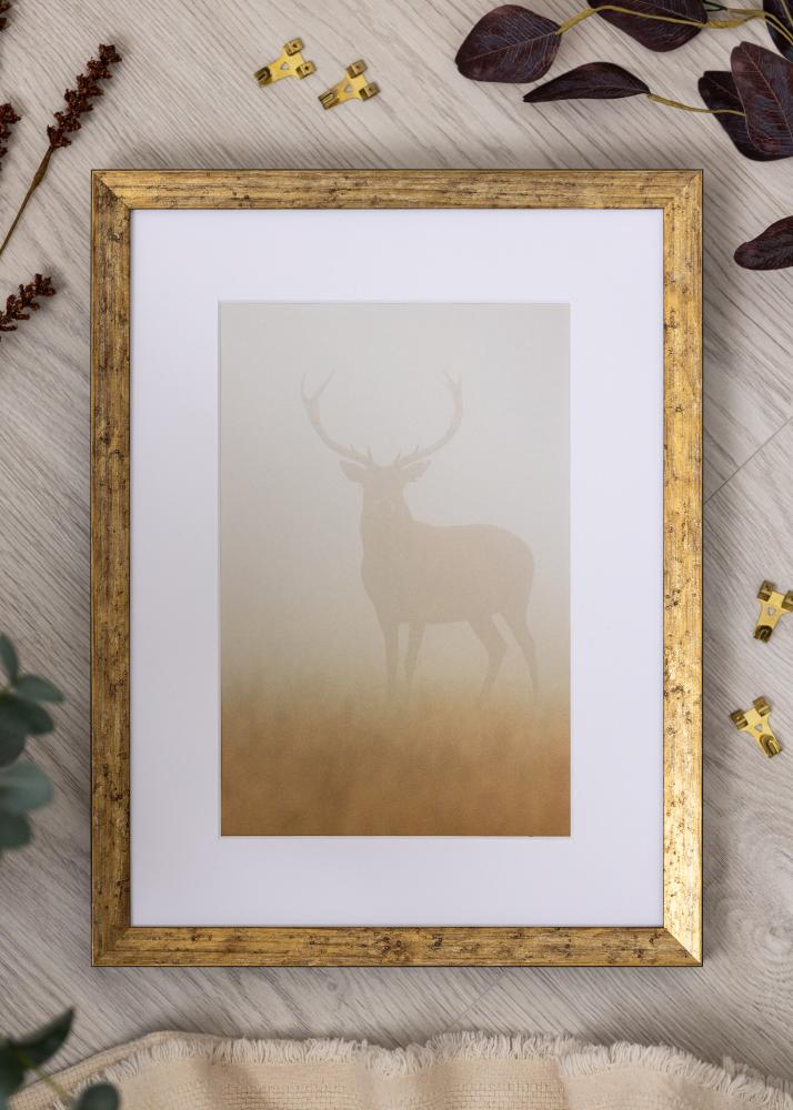 Rāmis Dune Akrila stikls Zelts 40x50 cm