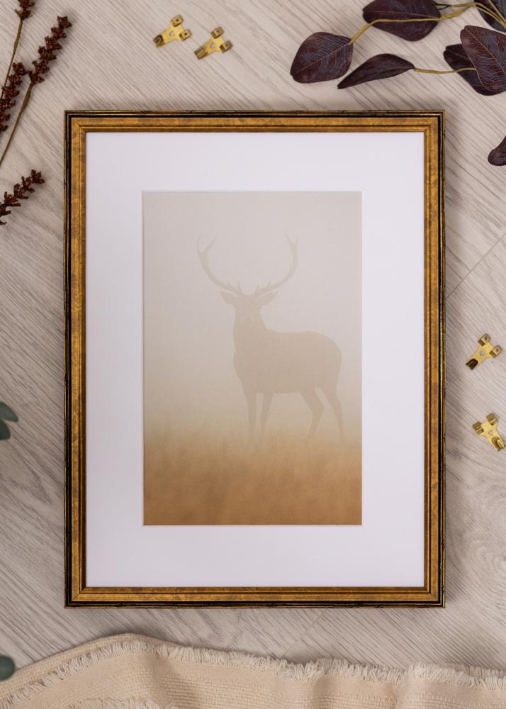 Rāmis Ringa Akrila stikls Zelts 59,4x84,1 cm (A1)