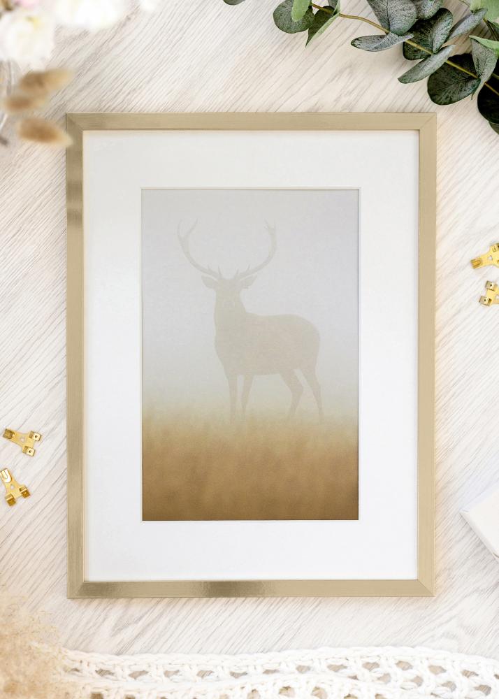 Rāmis Trendy Akrila stikls Zelta 21x29,7 cm (A4)