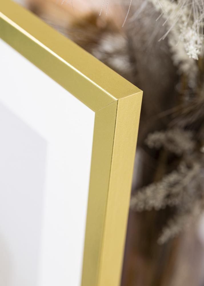 Rāmis Zelta Plats 29,7 x 42 cm (A3)