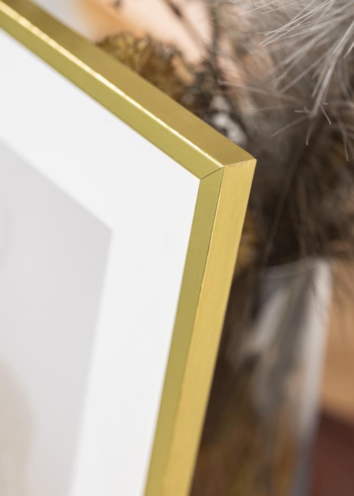 Attēlu rāmis Zelts Šaurs 59,4 x 84,1 cm (A1)