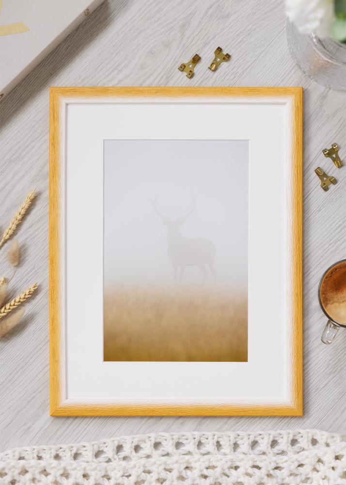 Rāmis Cornwall Akrila stikls Zelts 40x60 cm