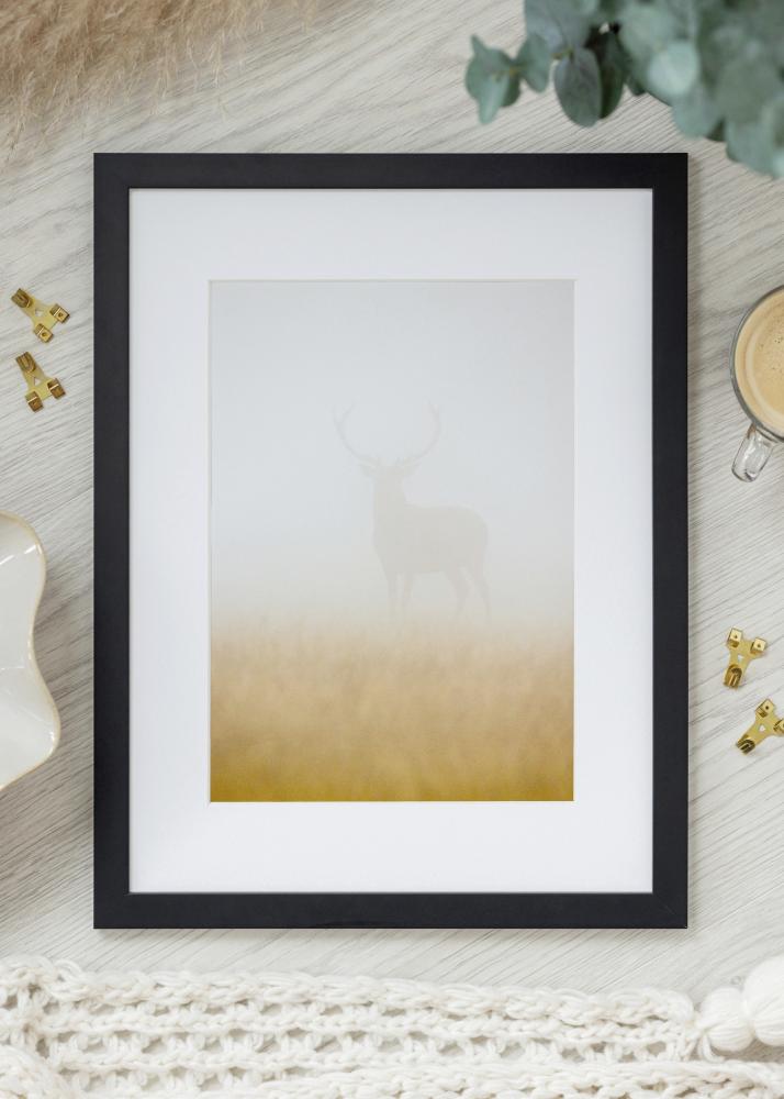 Rāmis Jämtland Akrila stikls Melns 25x60 cm