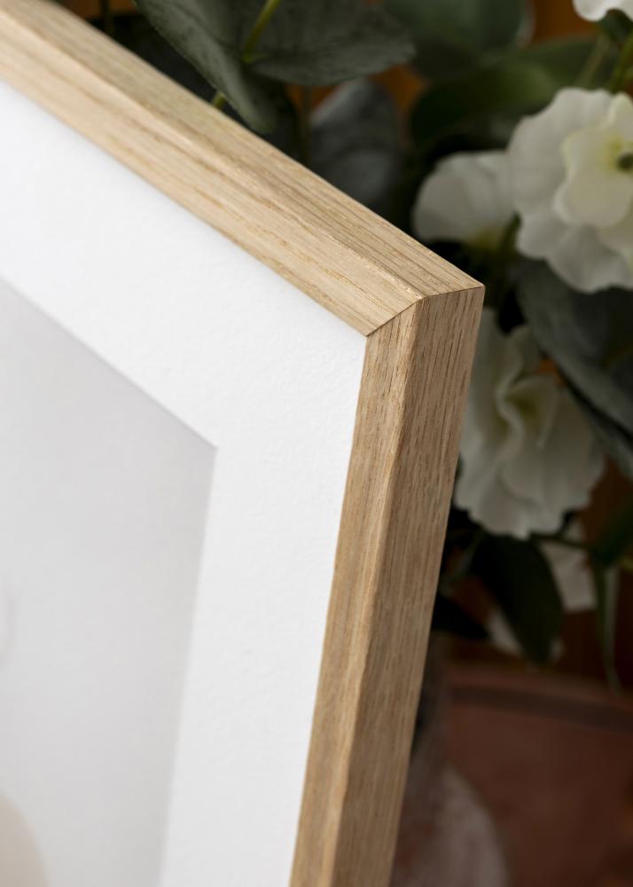 Rāmis Vemdalen Akrila stikls Ozols 48x67 cm