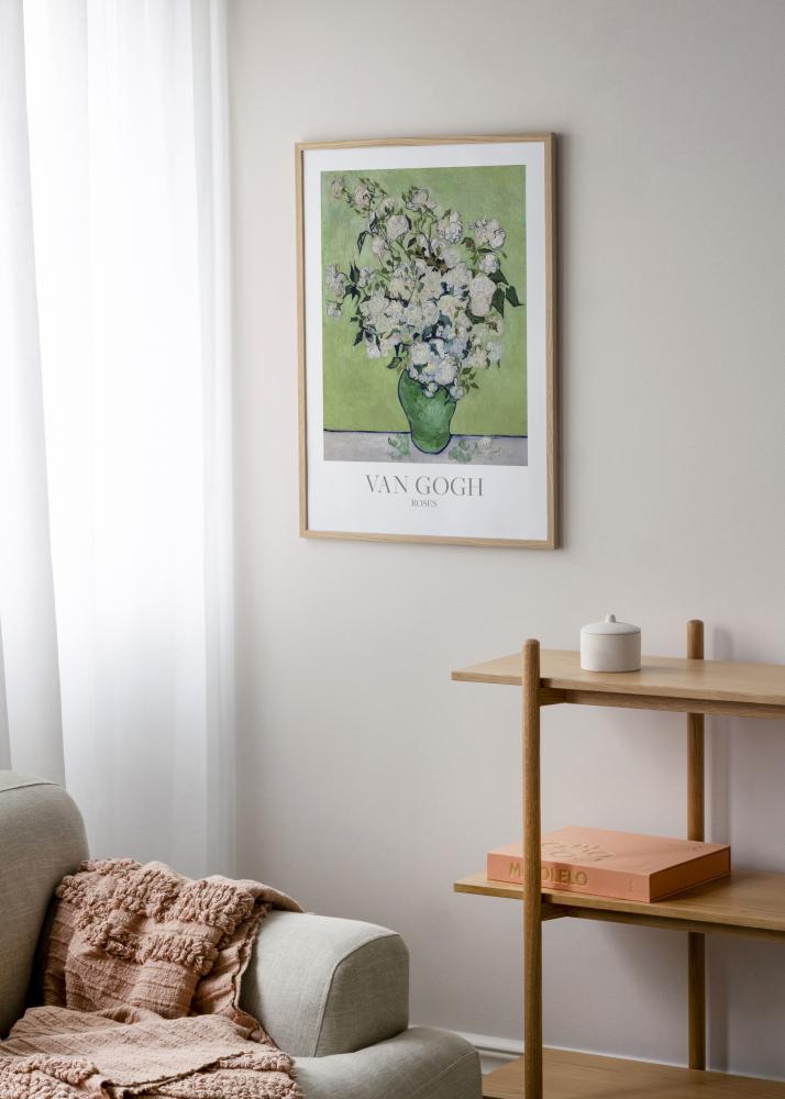 Rāmis Vemdalen Akrila stikls Ozols 48x67 cm