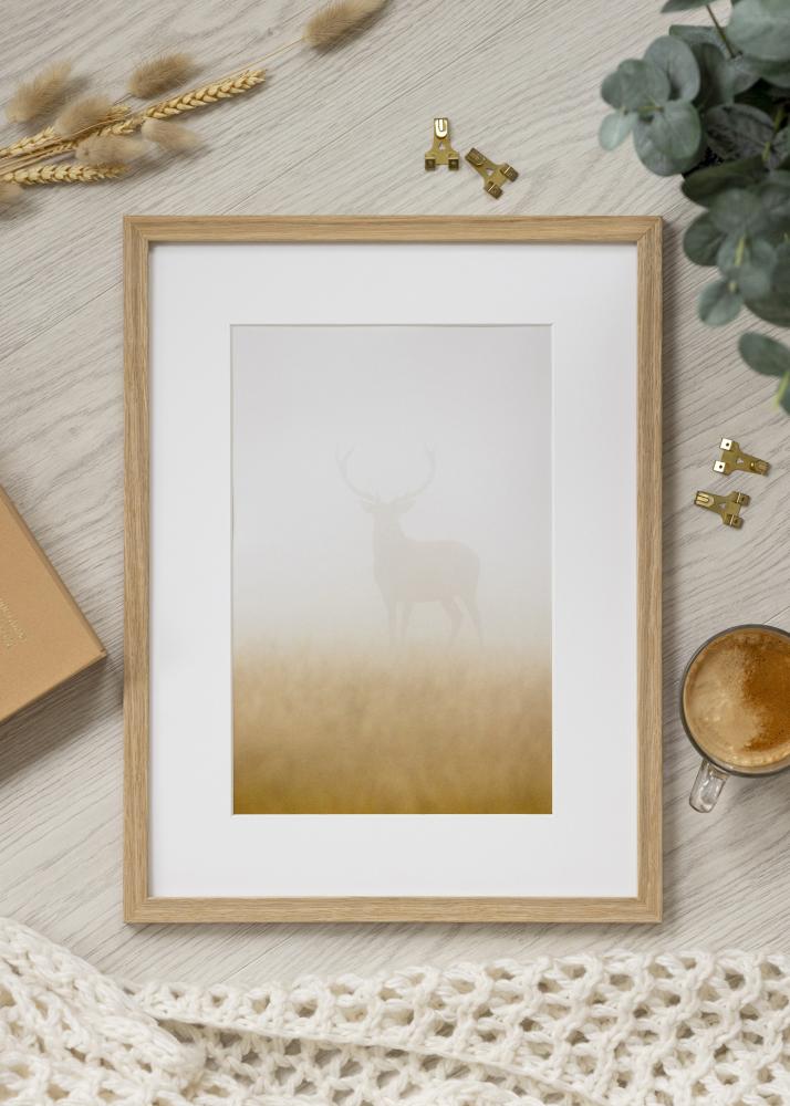 Rāmis Vemdalen Akrila stikls Ozols 48x67 cm