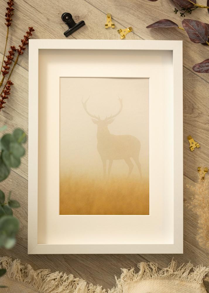 BGA Kastes rāmis Balts 50x70 cm - Paspartu Balts 40x60 cm